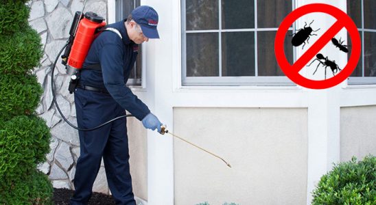 Mazgirt Hamam Böceği İlaçlama böcek ilaçlama ve haşere kontrolü — ilaclama-tr.com